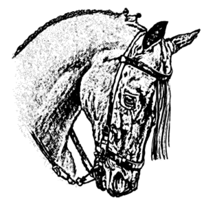 Caballos