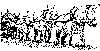Caballo-1