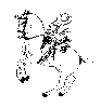 Caballo-10