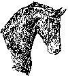 Caballo-2