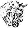 Caballo-3