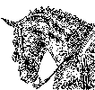 Caballo-4