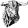 Toro-1