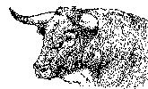 Toro-2