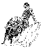 Toro-3