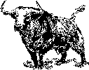Toro-8