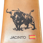 Imagen de Toros 1
